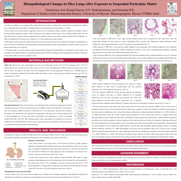 (PDF) Histopathological Changes in Mice Lungs After Exposure to ...