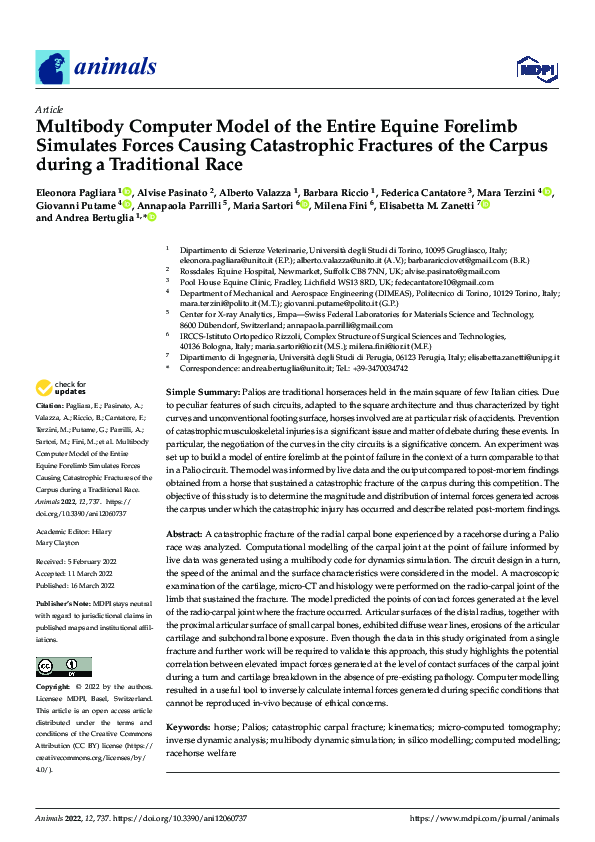 (PDF) Multibody Computer Model of the Entire Equine Forelimb Simulates ...