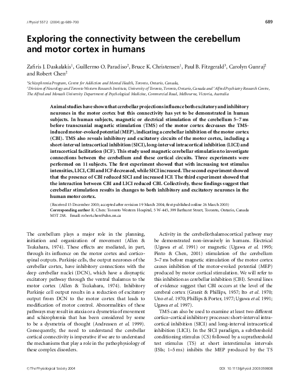 (PDF) Exploring the connectivity between the cerebellum and motor ...