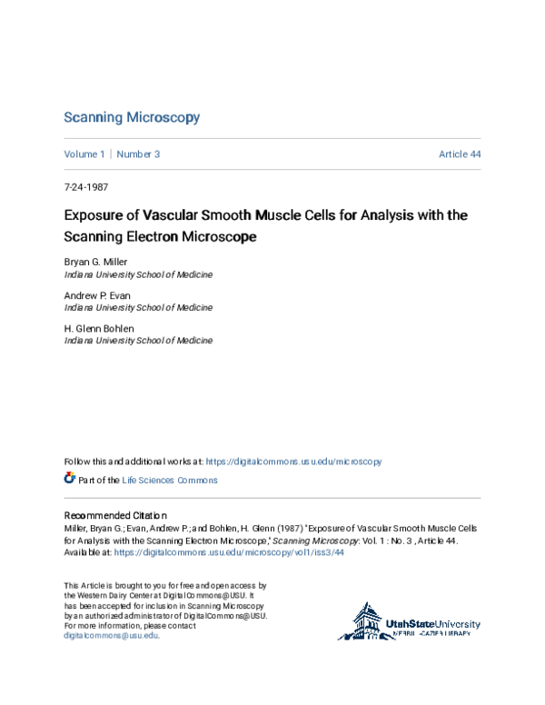 (PDF) Exposure of vascular smooth muscle cells for analysis with the ...