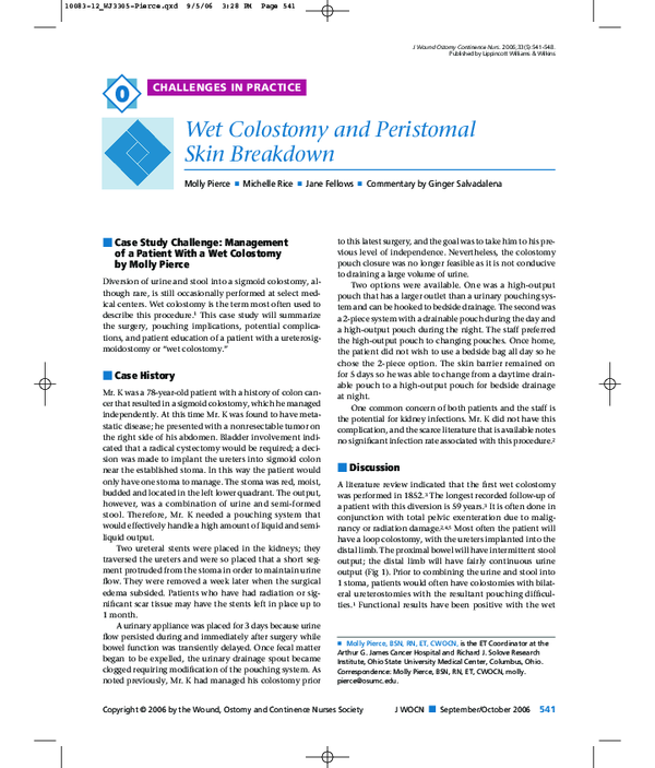(PDF) Wet Colostomy and Peristomal Skin Breakdown Ginger Salvadalena