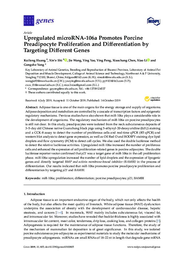 (PDF) Practices of memory in transitional justice : the construction of ...