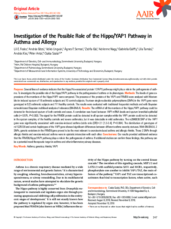 (PDF) Investigation of the Possible Role of the Hippo/YAP1 Pathway in ...