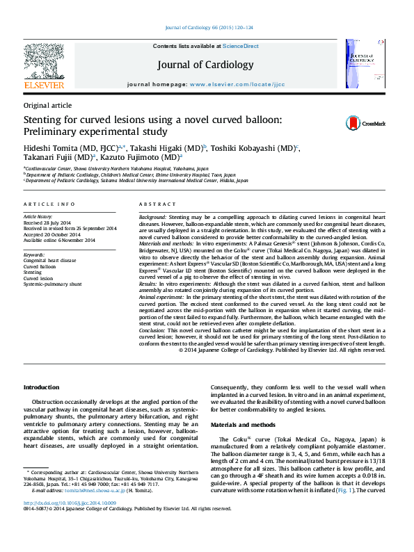 (PDF) Stenting for curved lesions using a novel curved balloon ...