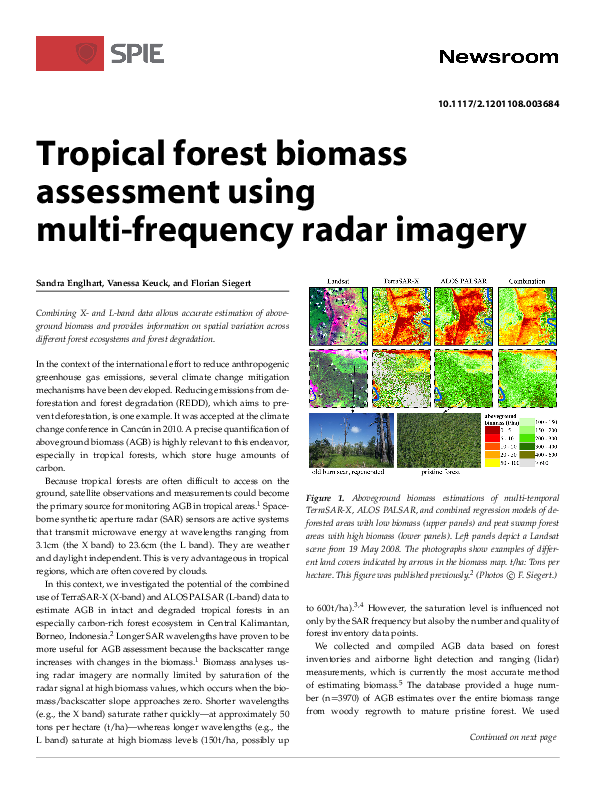 (PDF) Tropical forest biomass assessment using multi-frequency radar ...