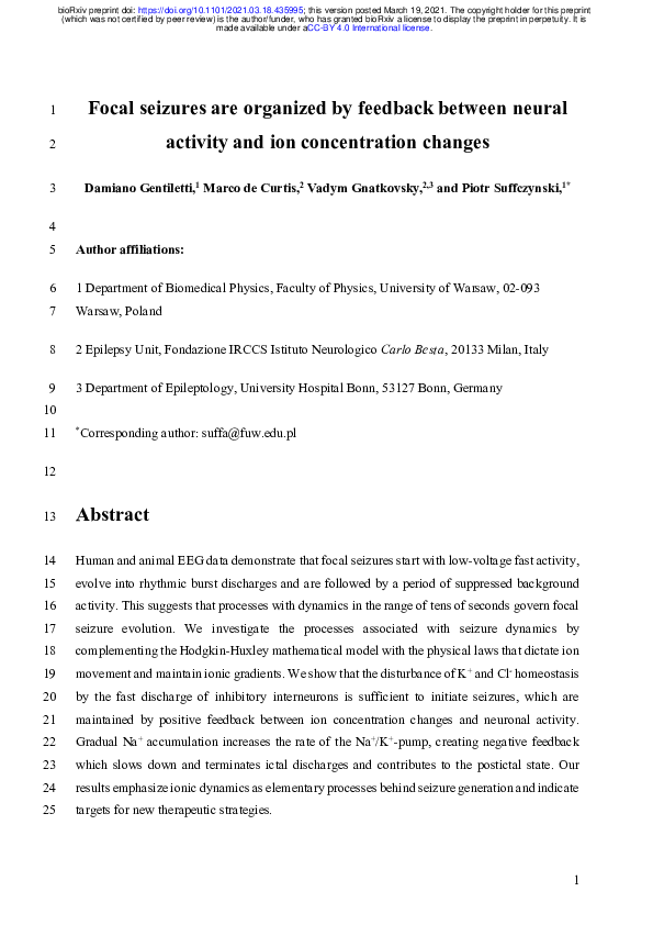 (PDF) Focal seizures are organized by feedback between neural activity ...