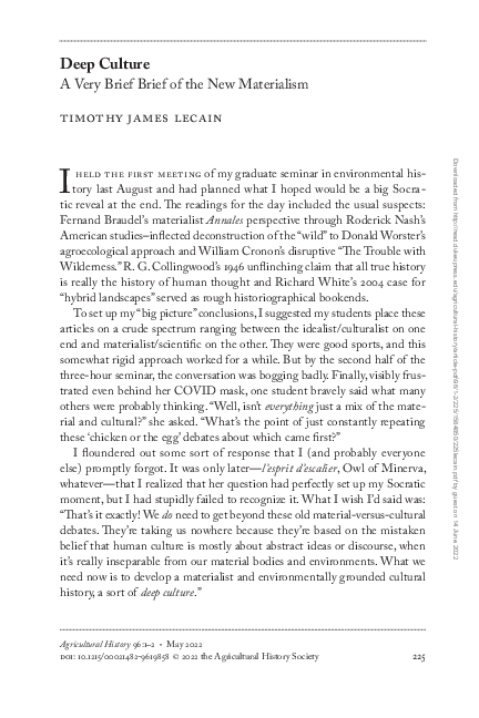 (PDF) Deep Culture