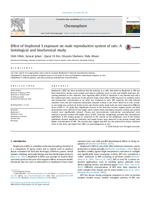 (PDF) Effect of bisphenol S exposure on male reproductive system of ...