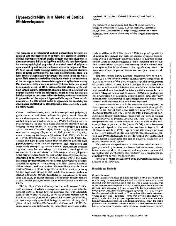 (PDF) Hyperexcitability in a Model of Cortical