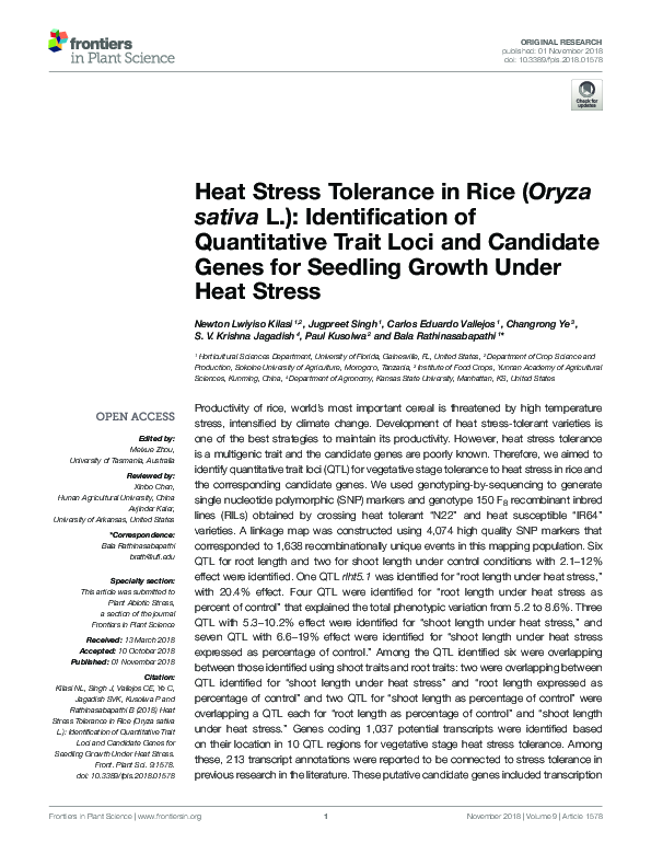 (PDF) Heat Stress Tolerance in Rice (Oryza sativa L.): Identification ...