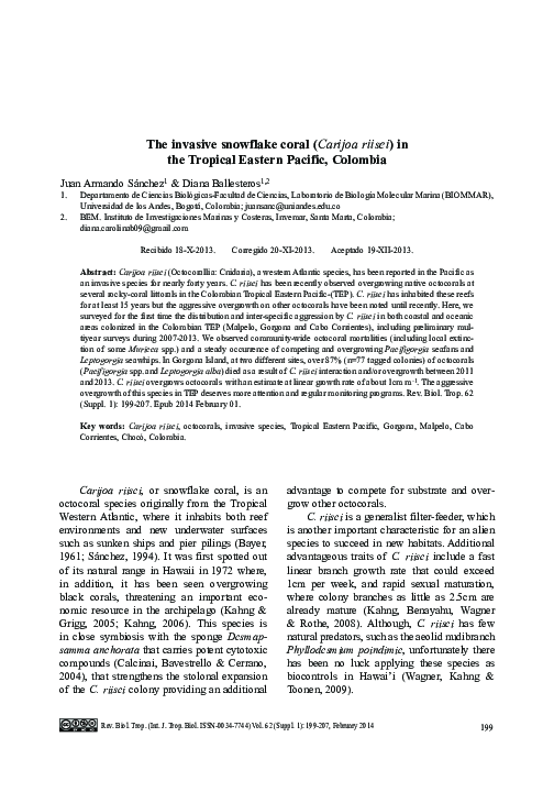 (PDF) The invasive snowflake coral (Carijoa riisei) in the Tropical ...