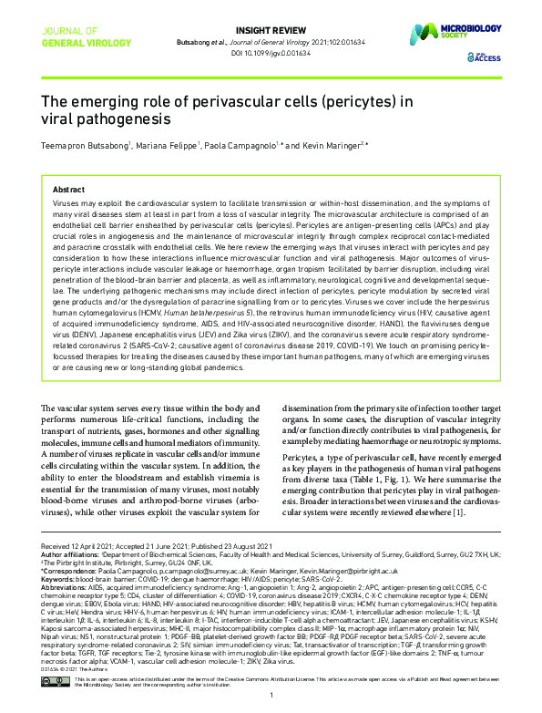 (PDF) The emerging role of perivascular cells (pericytes) in viral ...