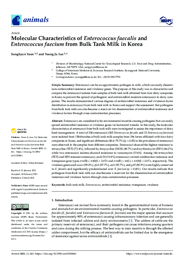 (PDF) Molecular Characteristics of Enterococcus faecalis and ...