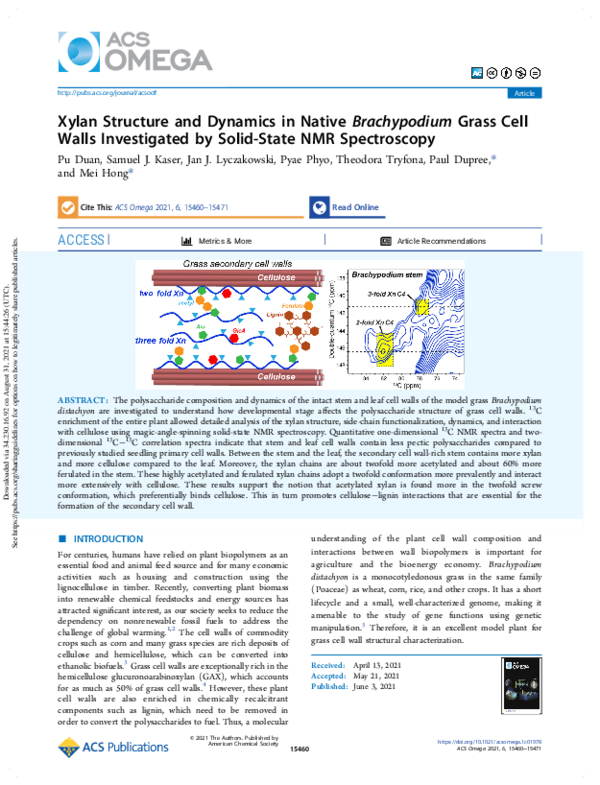(PDF) Xylan Structure and Dynamics in Native Brachypodium Grass Cell ...