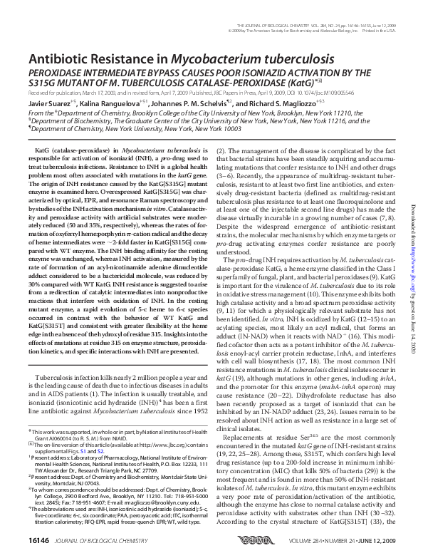 (PDF) Antibiotic Resistance in Mycobacterium tuberculosis