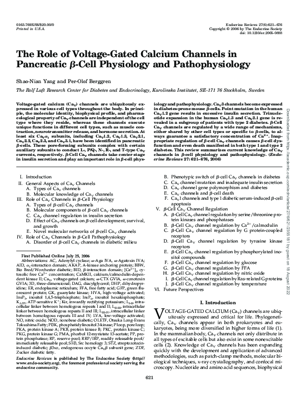 (PDF) The Role of Voltage-Gated Calcium Channels in Pancreatic β-Cell ...