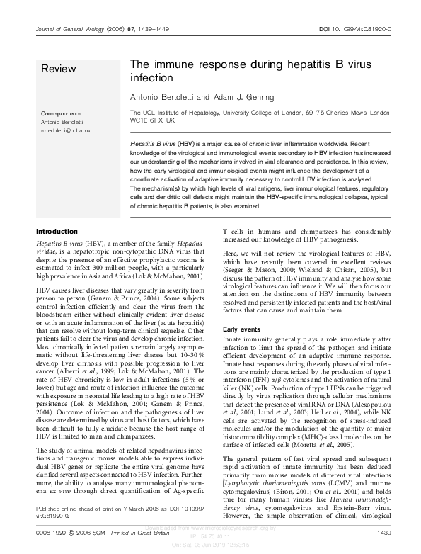 (PDF) The immune response during hepatitis B virus infection
