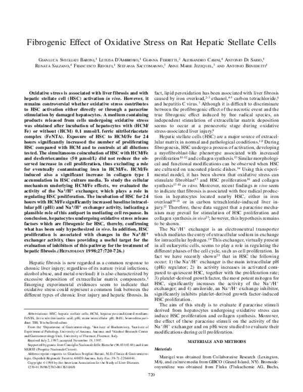 (PDF) Fibrogenic effect of oxidative stress on rat hepatic stellate cells