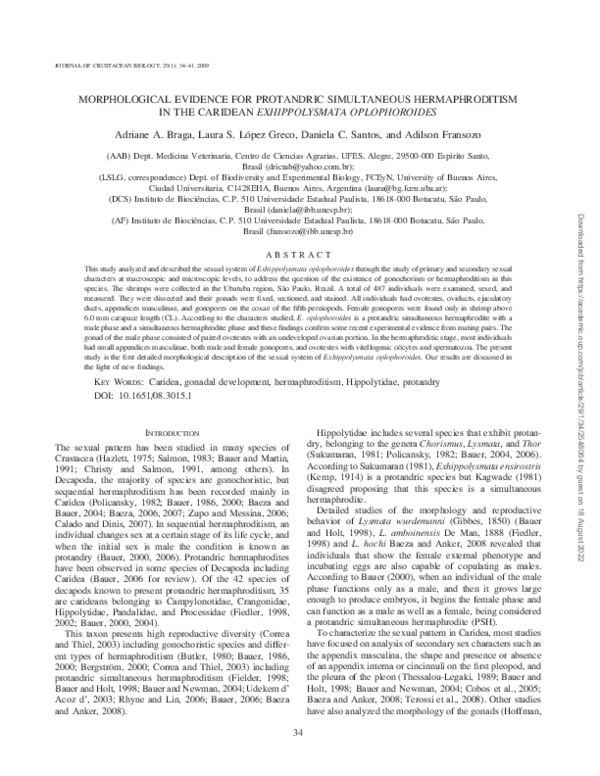 (PDF) Morphological Evidence for Protandric Simultaneous ...