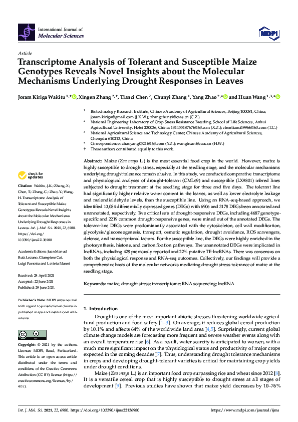(PDF) Transcriptome Analysis of Tolerant and Susceptible Maize ...