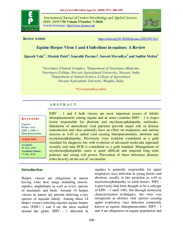 (PDF) Equine Herpes Virus 1 and 4 Infections in equines A Review