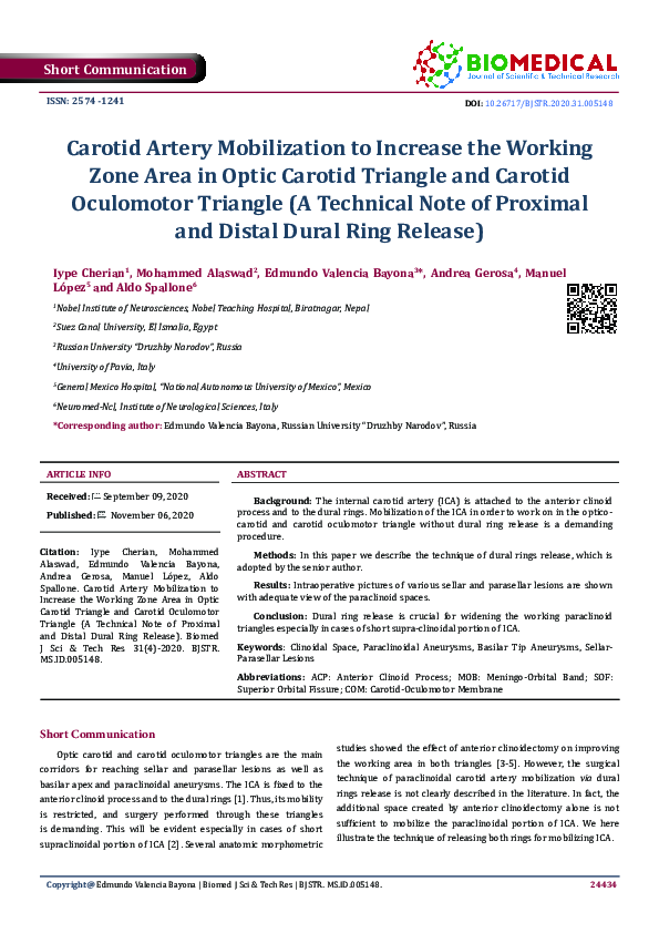 (PDF) Carotid Artery Mobilization to Increase the Working Zone Area in ...