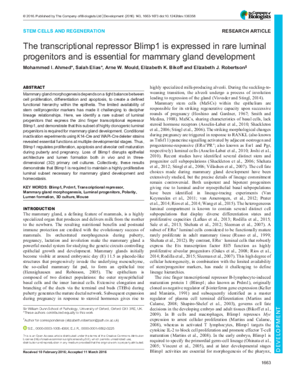 (PDF) The transcriptional repressor Blimp1 is expressed in rare luminal ...