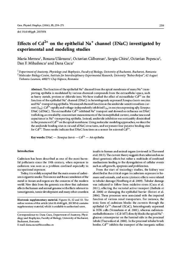 (PDF) Effects of Cd2+ on the epithelial Na+ channel (ENaC) investigated ...