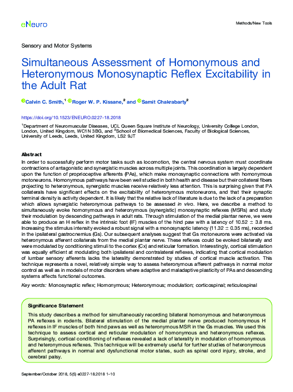 (PDF) Simultaneous Assessment of Homonymous and Heteronymous ...