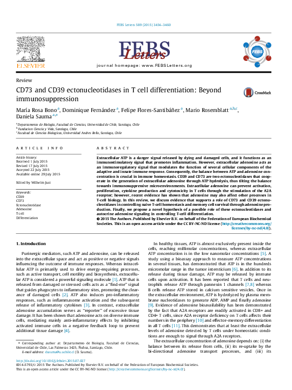(PDF) CD73 and CD39 ectonucleotidases in T cell differentiation: Beyond ...