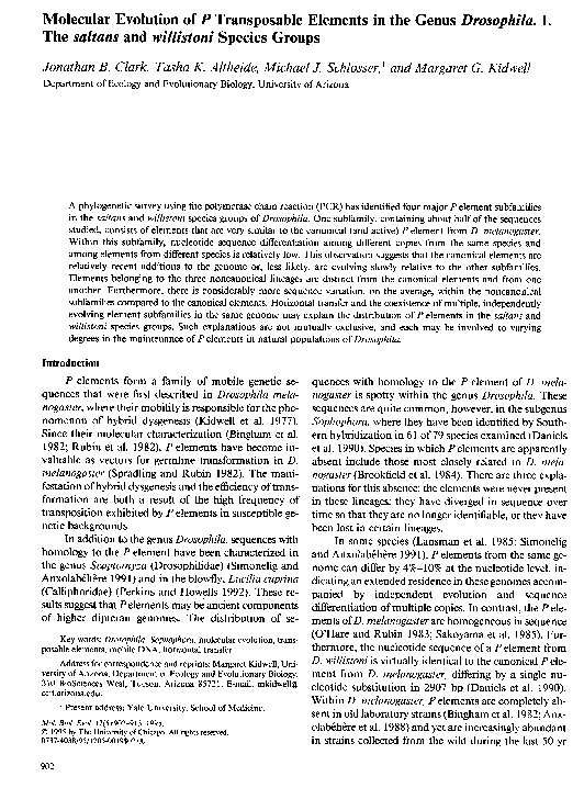 (PDF) Molecular Evolution of P Transposable Elements in the Genus ...