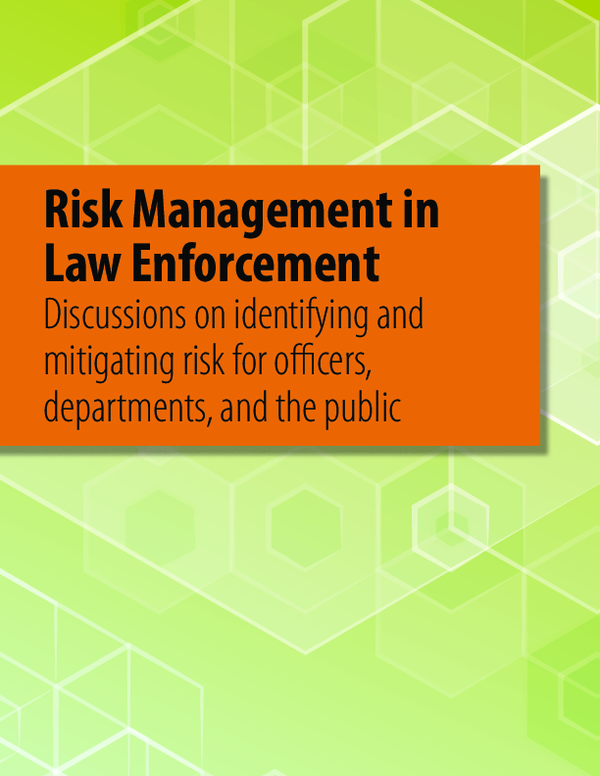 (PDF) Risk Management in Law Enforcement: Discussions on Identifying ...