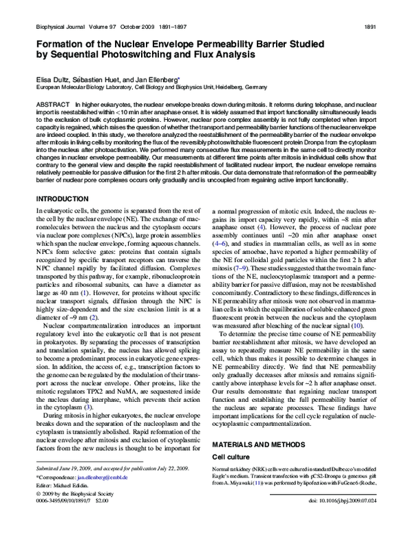(PDF) Formation of the Nuclear Envelope Permeability Barrier Studied by ...