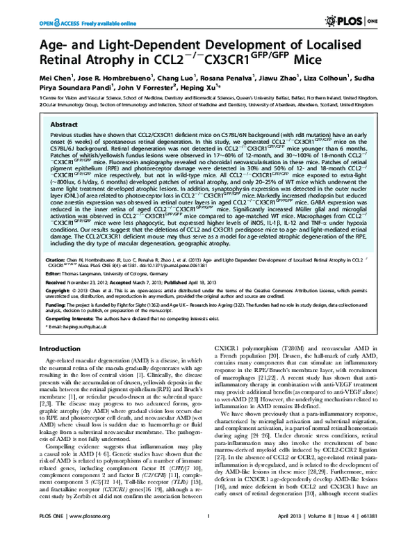 (PDF) Age- and Light-Dependent Development of Localised Retinal Atrophy ...