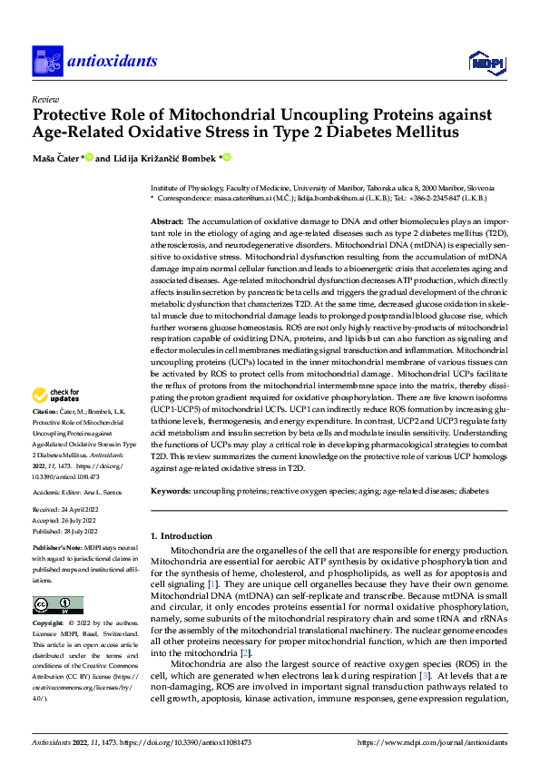 (PDF) Protective Role of Mitochondrial Uncoupling Proteins against Age ...