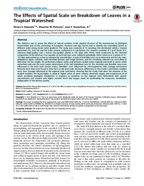 (PDF) The Effects of Spatial Scale on Breakdown of Leaves in a Tropical ...