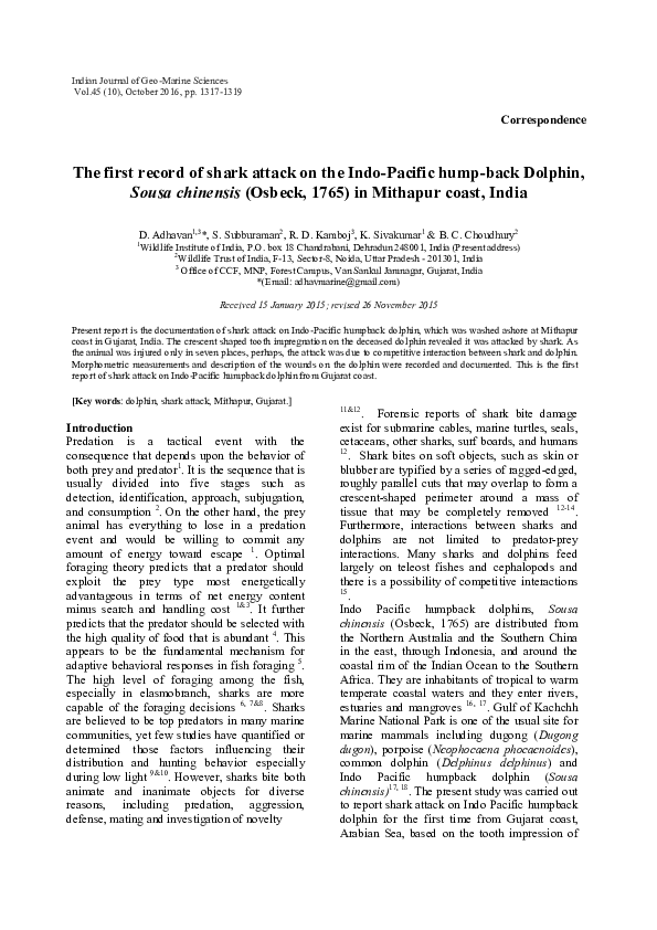 (PDF) The first record of shark attack on the IndoPacific humpback