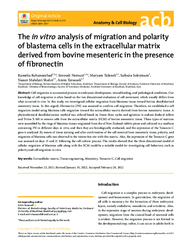 (PDF) The in vitro analysis of migration and polarity of blastema cells ...