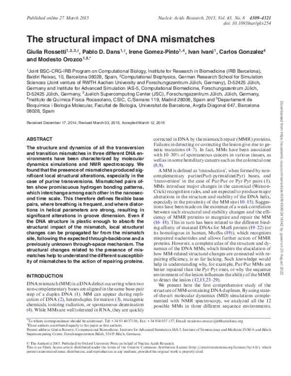 (PDF) The structural impact of DNA mismatches