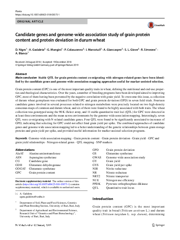 (PDF) Candidate genes and genome-wide association study of grain ...