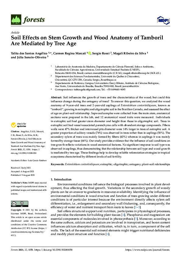 (PDF) Soil Effects on Stem Growth and Wood Anatomy of Tamboril Are ...