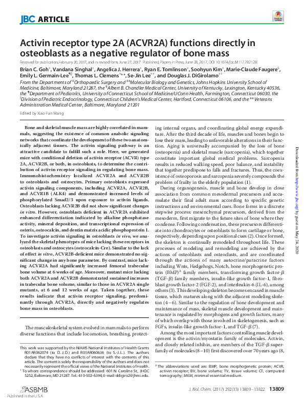 (PDF) Activin receptor type 2A (ACVR2A) functions directly in ...