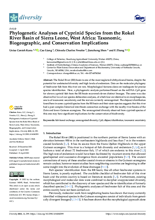 (PDF) Analyses of Cyprinid Species from the Rokel River