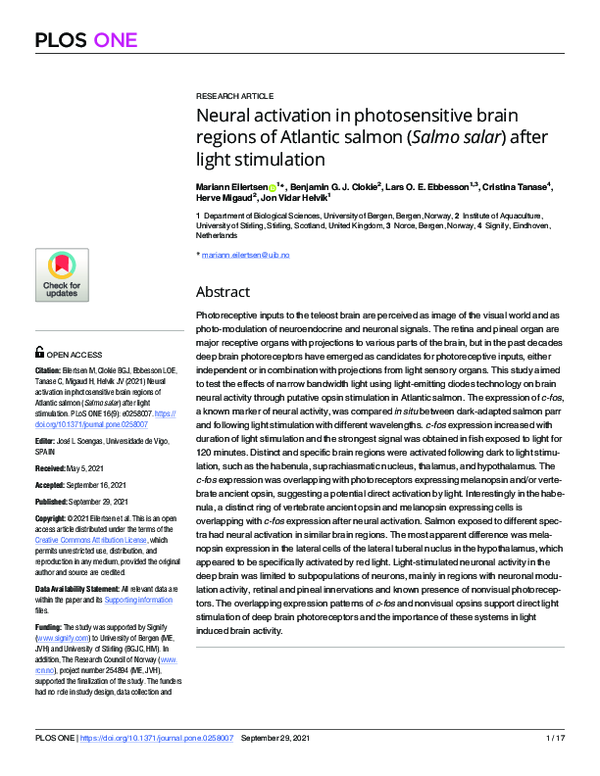 (PDF) Neural activation in photosensitive brain regions of Atlantic ...
