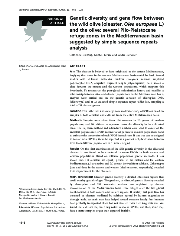 (PDF) Genetic diversity and gene flow between the wild olive (oleaster ...