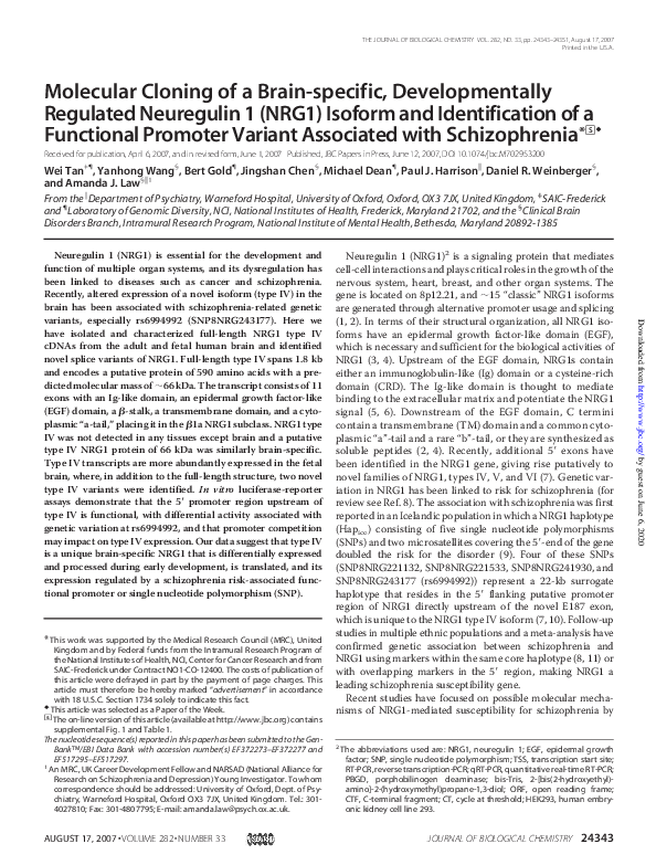 (PDF) Molecular Cloning of a Brain-specific, Developmentally Regulated ...