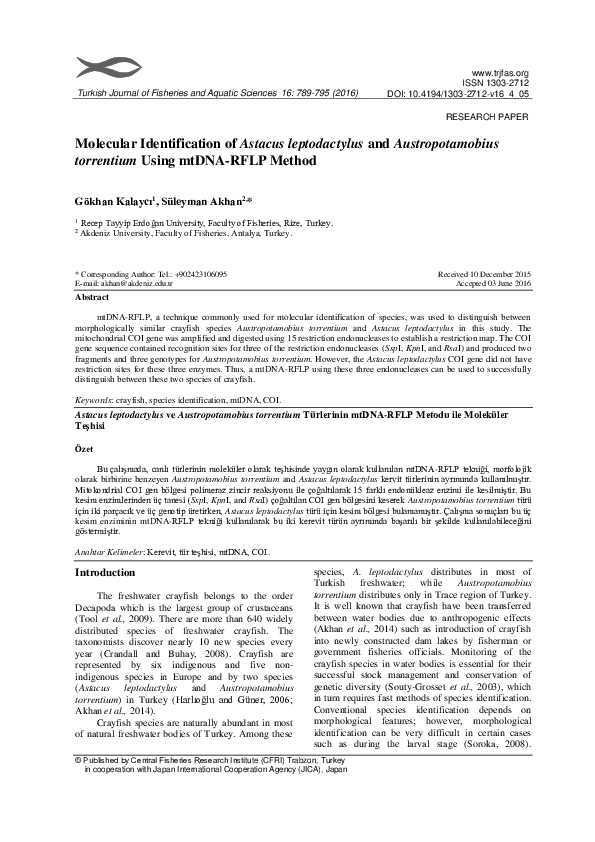 (PDF) Molecular Identification of Astacus leptodactylus and ...