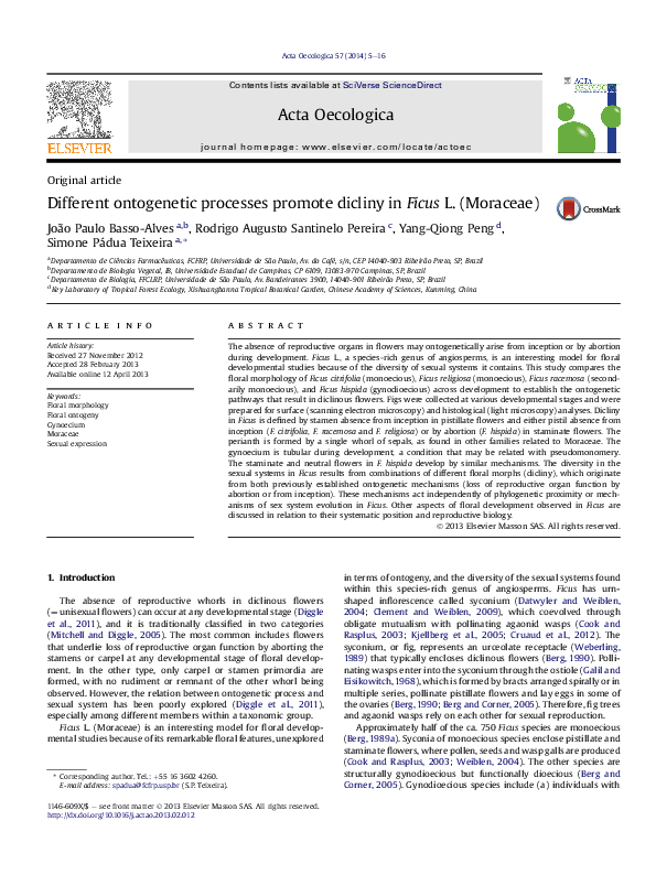 (PDF) Different ontogenetic processes promote dicliny in Ficus L ...