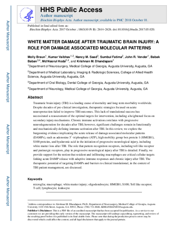 (PDF) White matter damage after traumatic brain injury: A role for ...