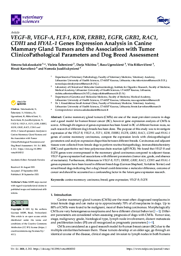 (PDF) VEGF-B, VEGF-A, FLT-1, KDR, ERBB2, EGFR, GRB2, RAC1, CDH1 and ...
